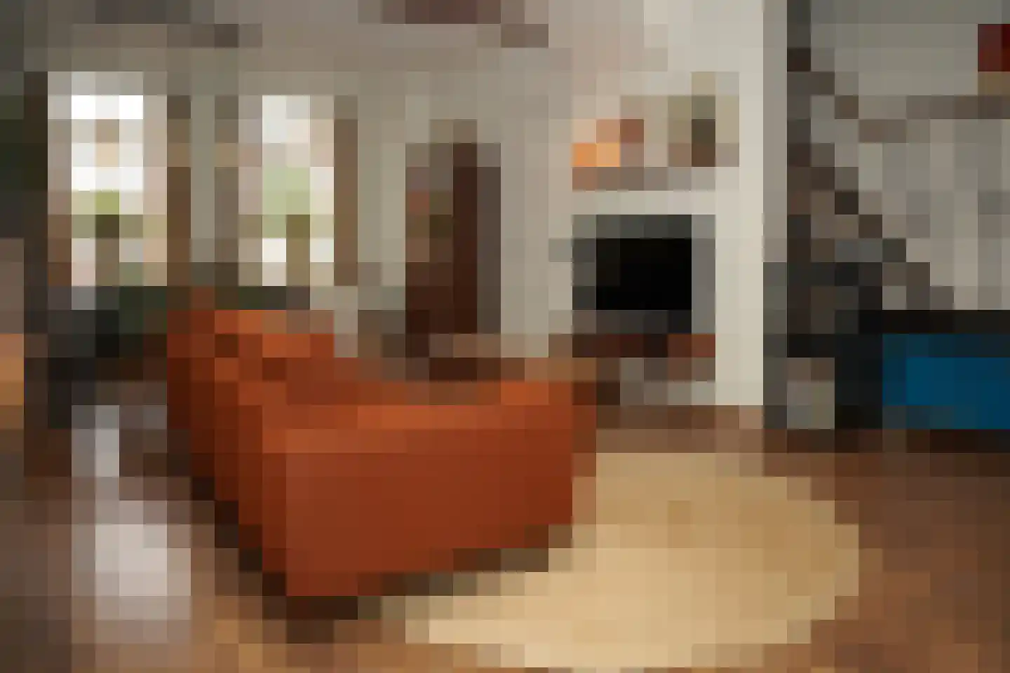 Voorstraat 48 Groede thumbnail 6