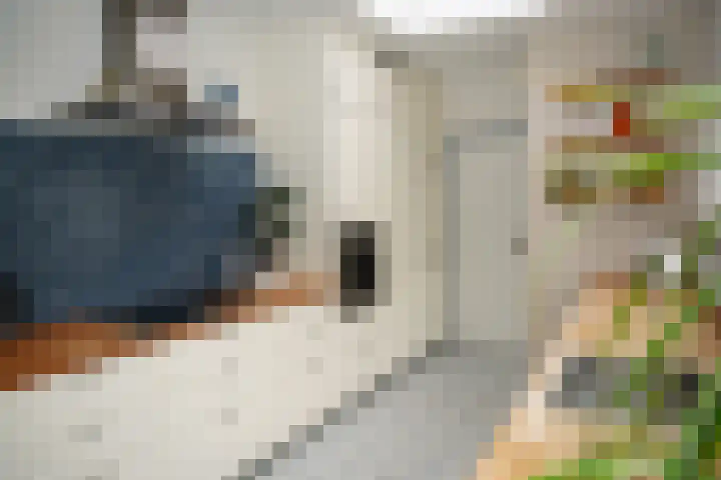 Voorstraat 48 Groede thumbnail 9
