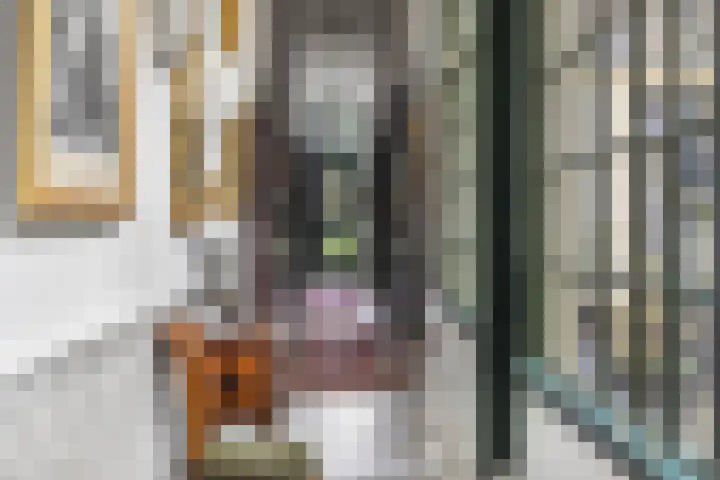 Voorstraat 49 Franeker thumbnail 10