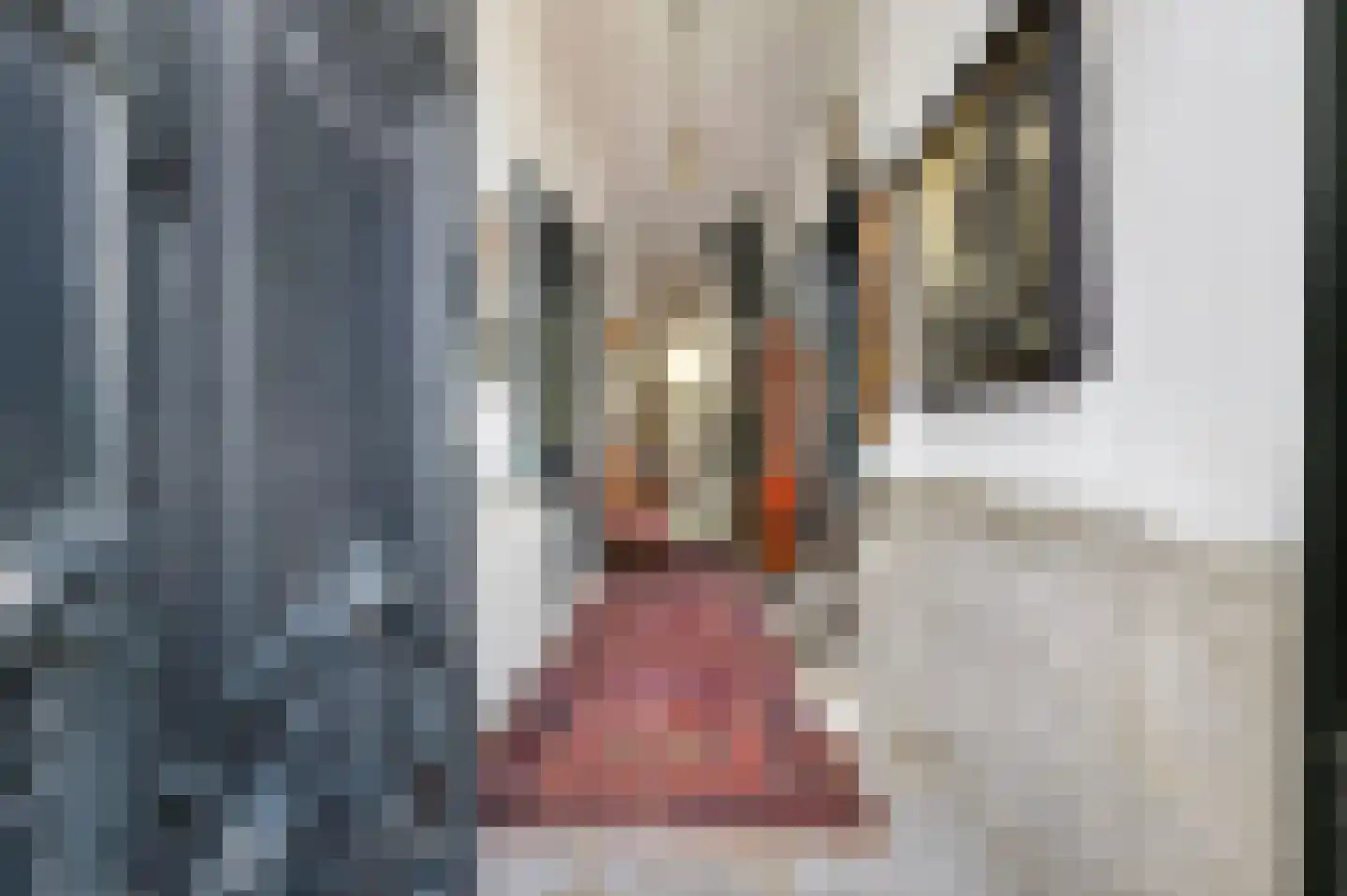 Voorstraat 49 Franeker thumbnail 12