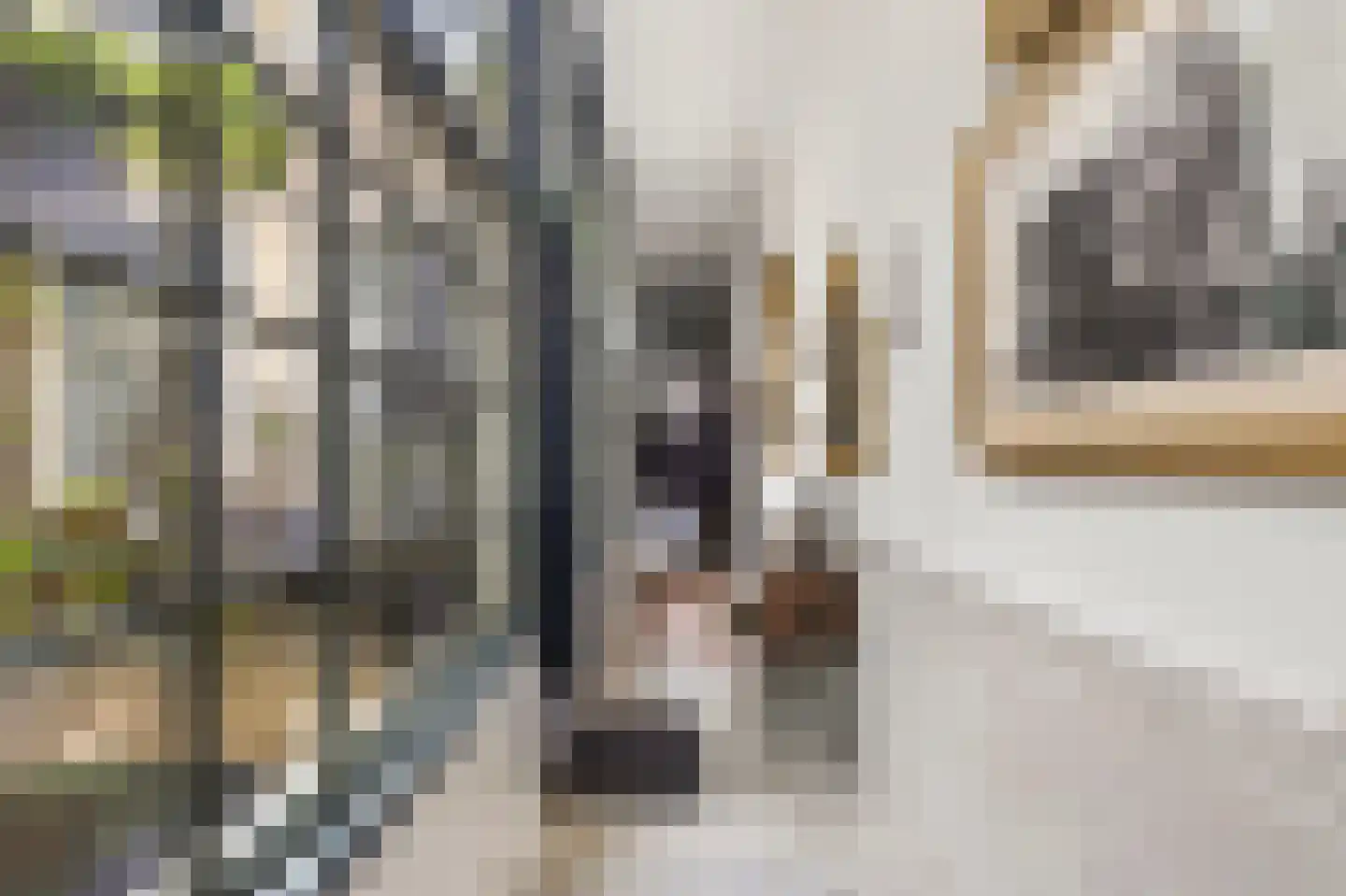 Voorstraat 49 Franeker thumbnail 25
