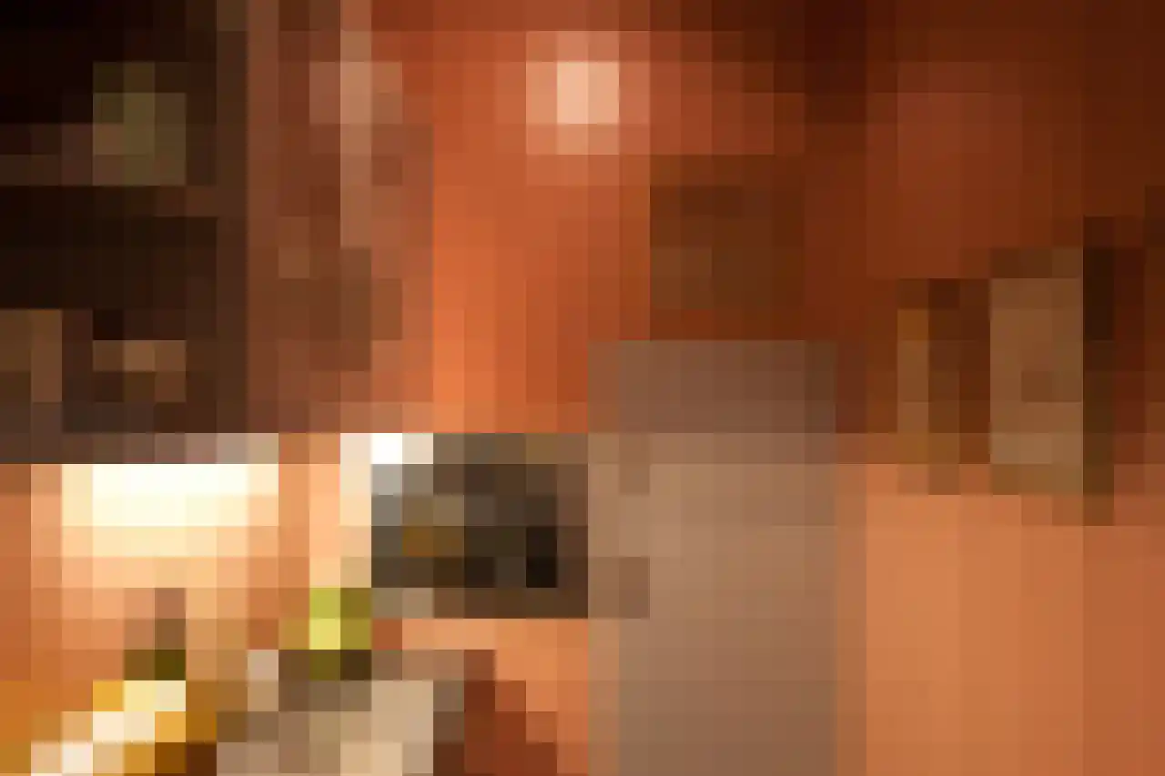 Voorstraat 49 Franeker thumbnail 31