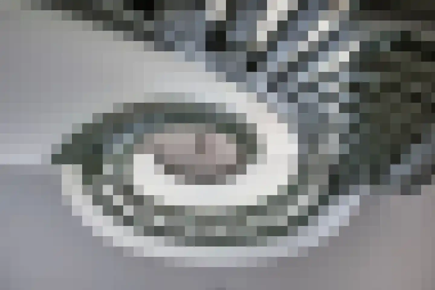 Voorstraat 49 Franeker thumbnail 33
