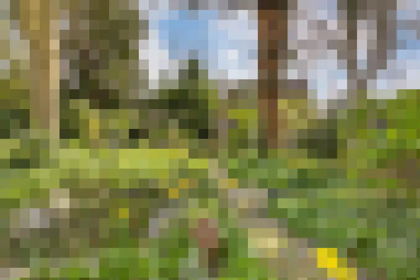 Voorstraat 49 Franeker thumbnail 55