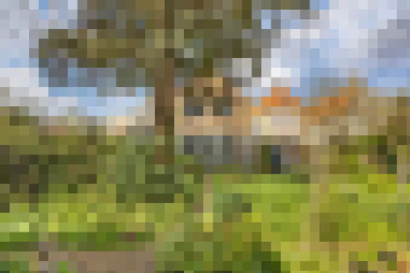 Voorstraat 49 Franeker thumbnail 56