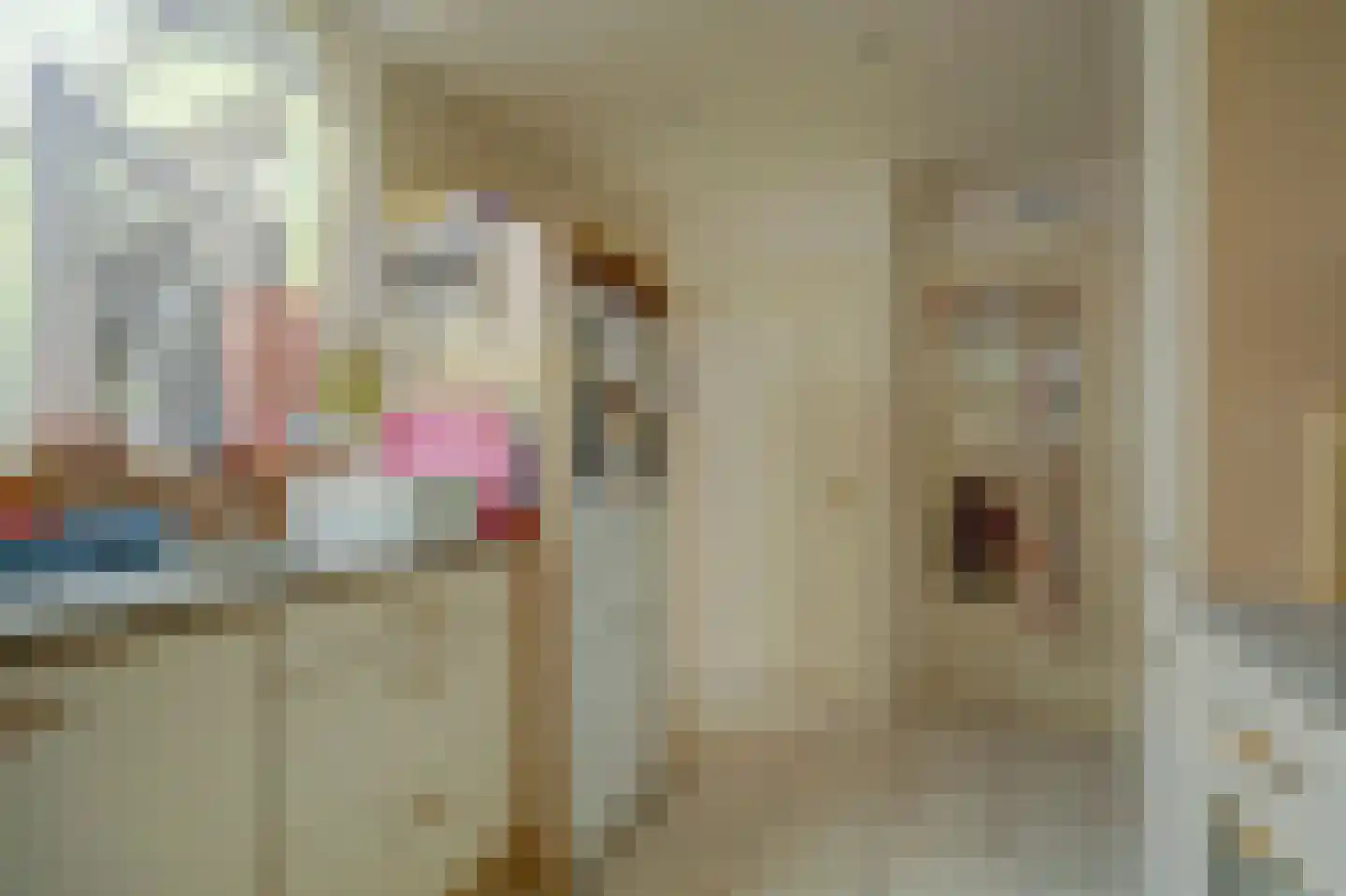 Voorstraat 5 Colijnsplaat thumbnail 13
