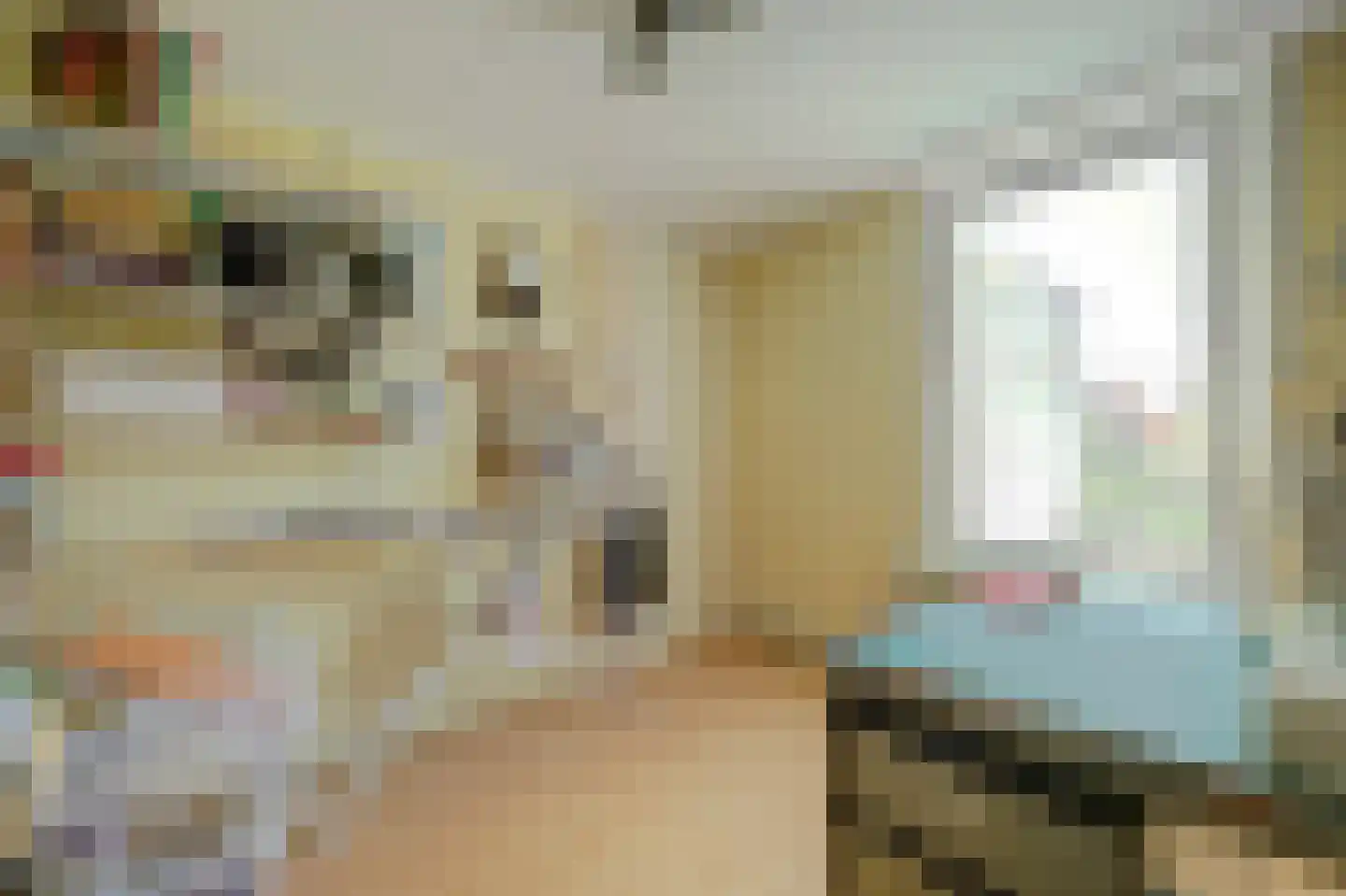 Voorstraat 5 Colijnsplaat thumbnail 20