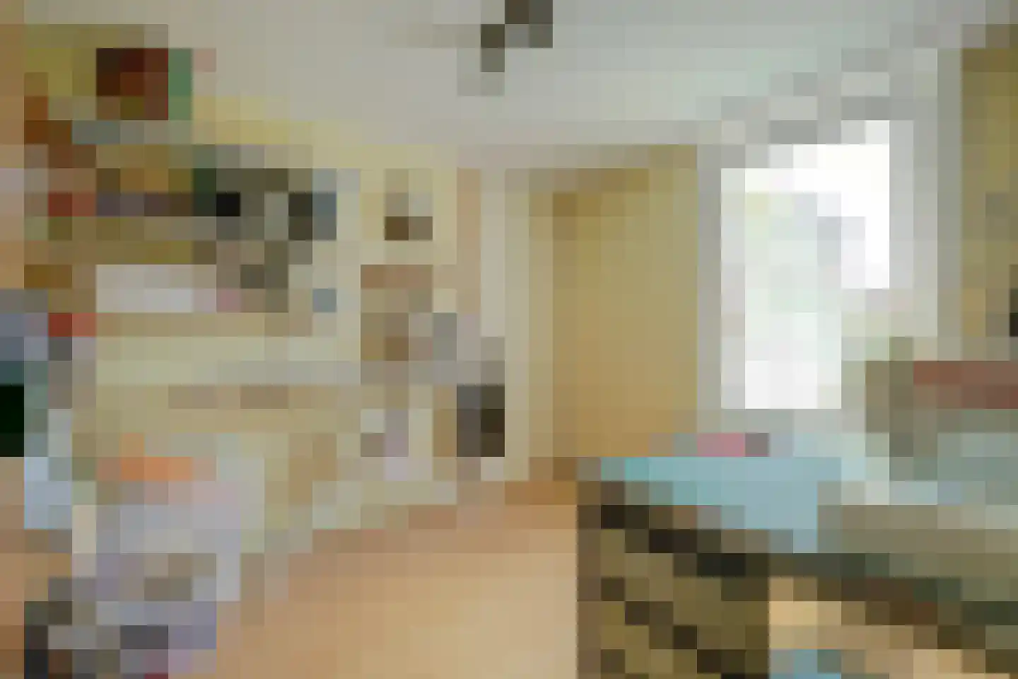 Voorstraat 5 Colijnsplaat thumbnail 21