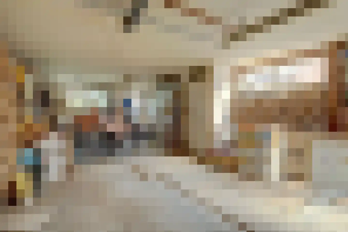 Voorstraat 5 Colijnsplaat thumbnail 30