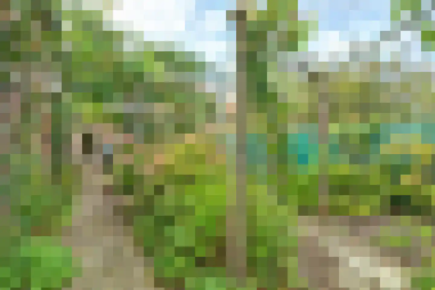 Voorstraat 5 Colijnsplaat thumbnail 35