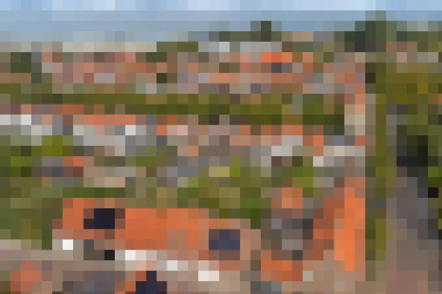 Voorstraat 5 Colijnsplaat thumbnail 39