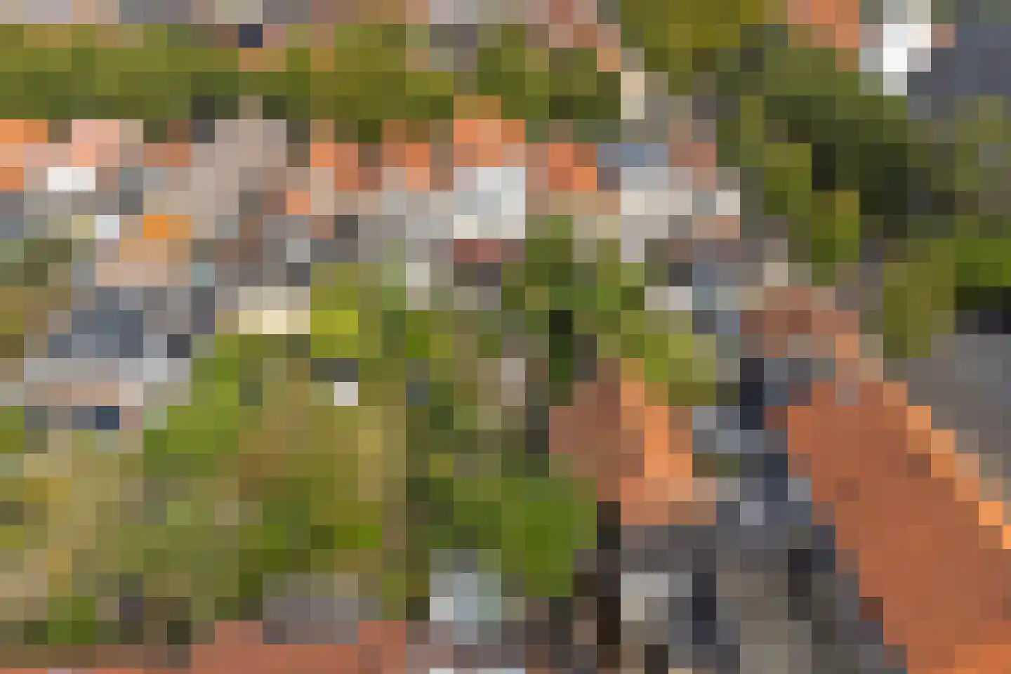 Voorstraat 5 Colijnsplaat thumbnail 40