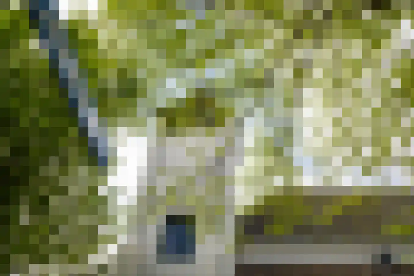 Voorstraat 5 Colijnsplaat thumbnail 50