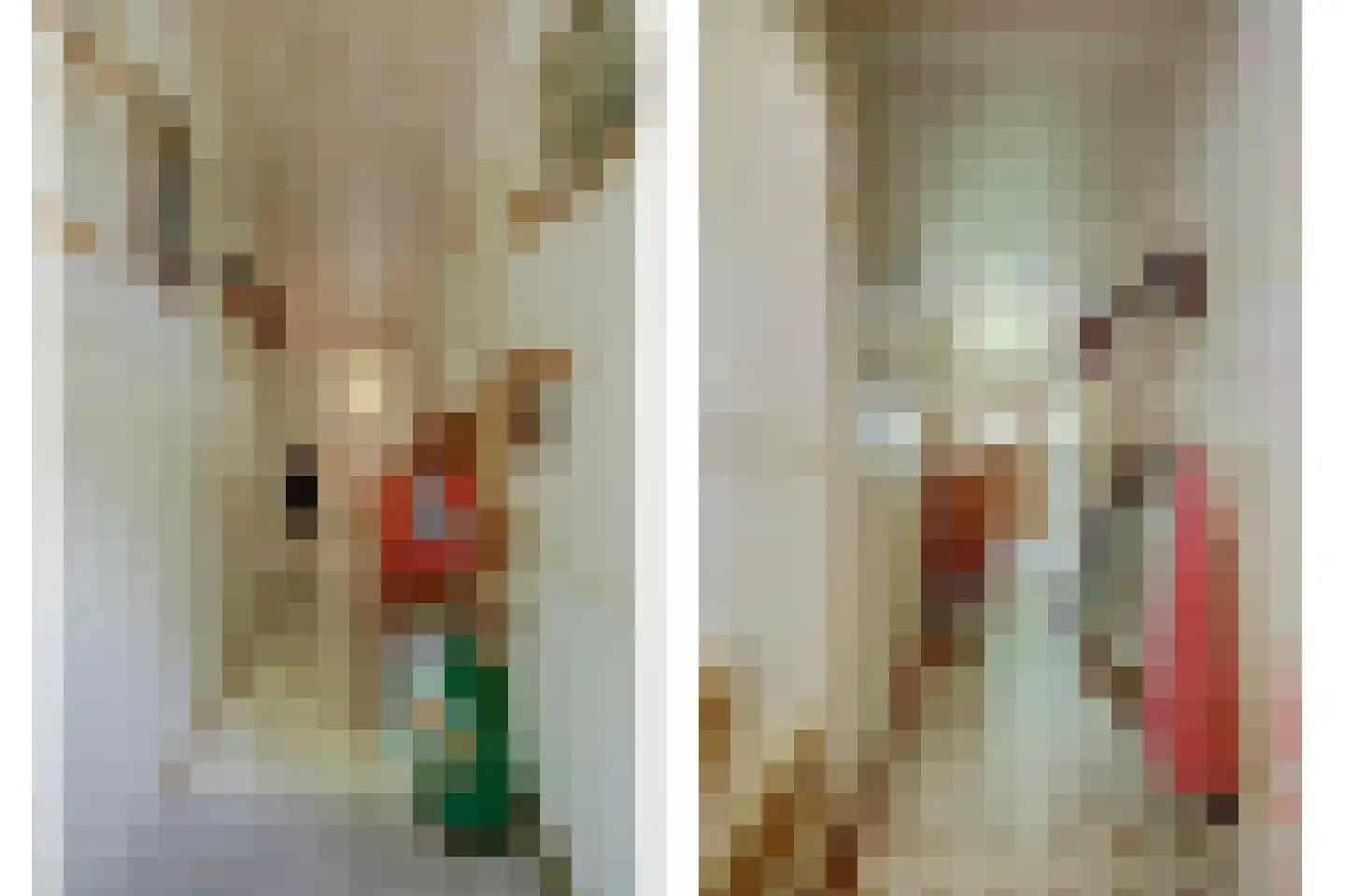 Voorstraat 5 Colijnsplaat thumbnail 6