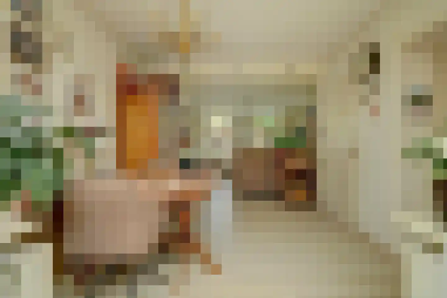 Voorstraat 5 Colijnsplaat thumbnail 9
