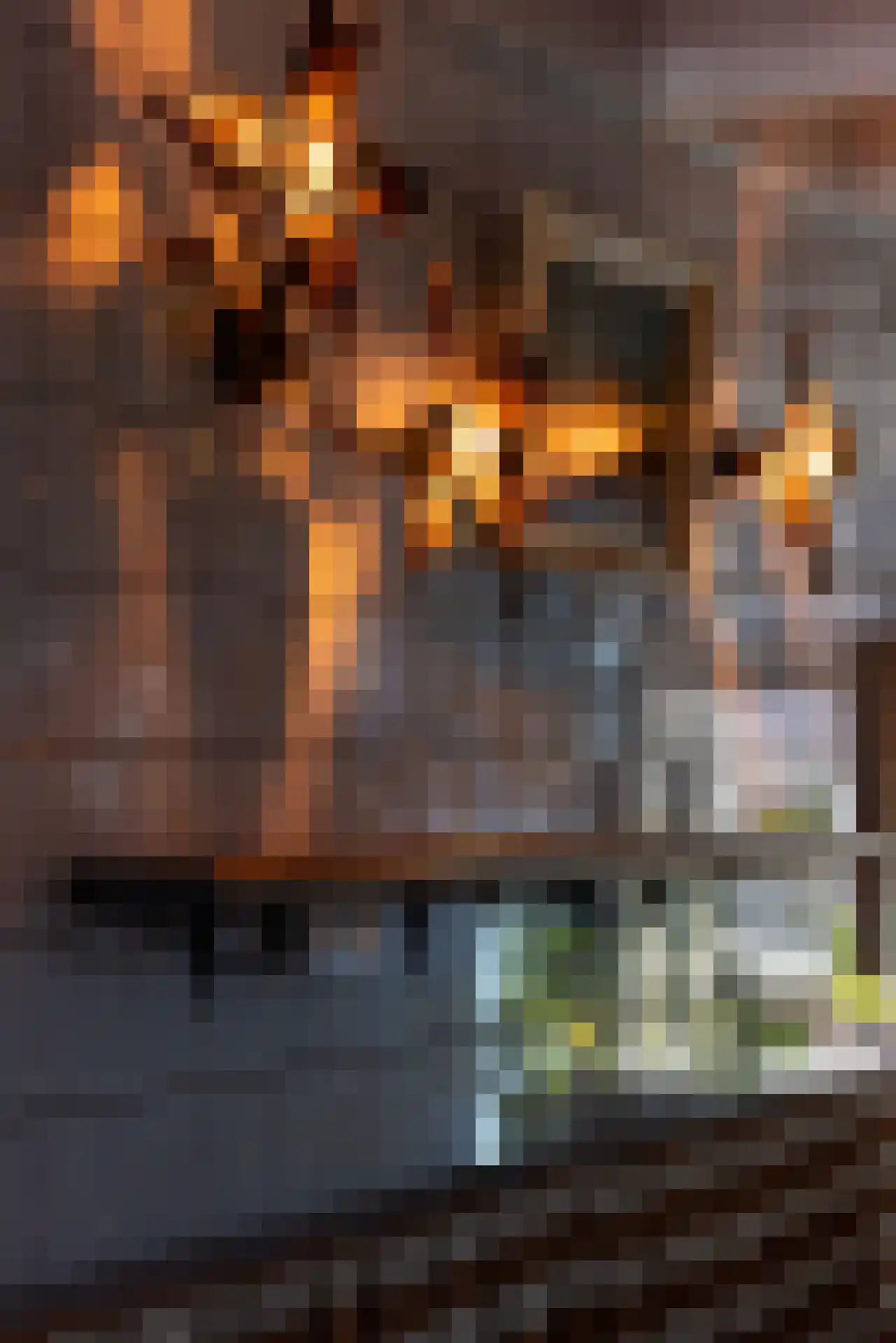 Voorstraat 5 Rotterdam thumbnail 12