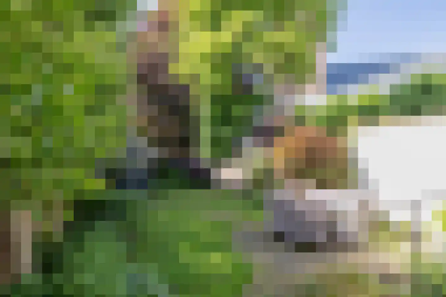 Voorstraat 50 Noordwijk thumbnail 16