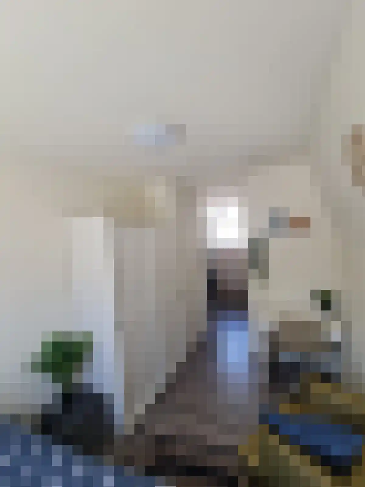 Voorstraat 50 Utrecht thumbnail 4