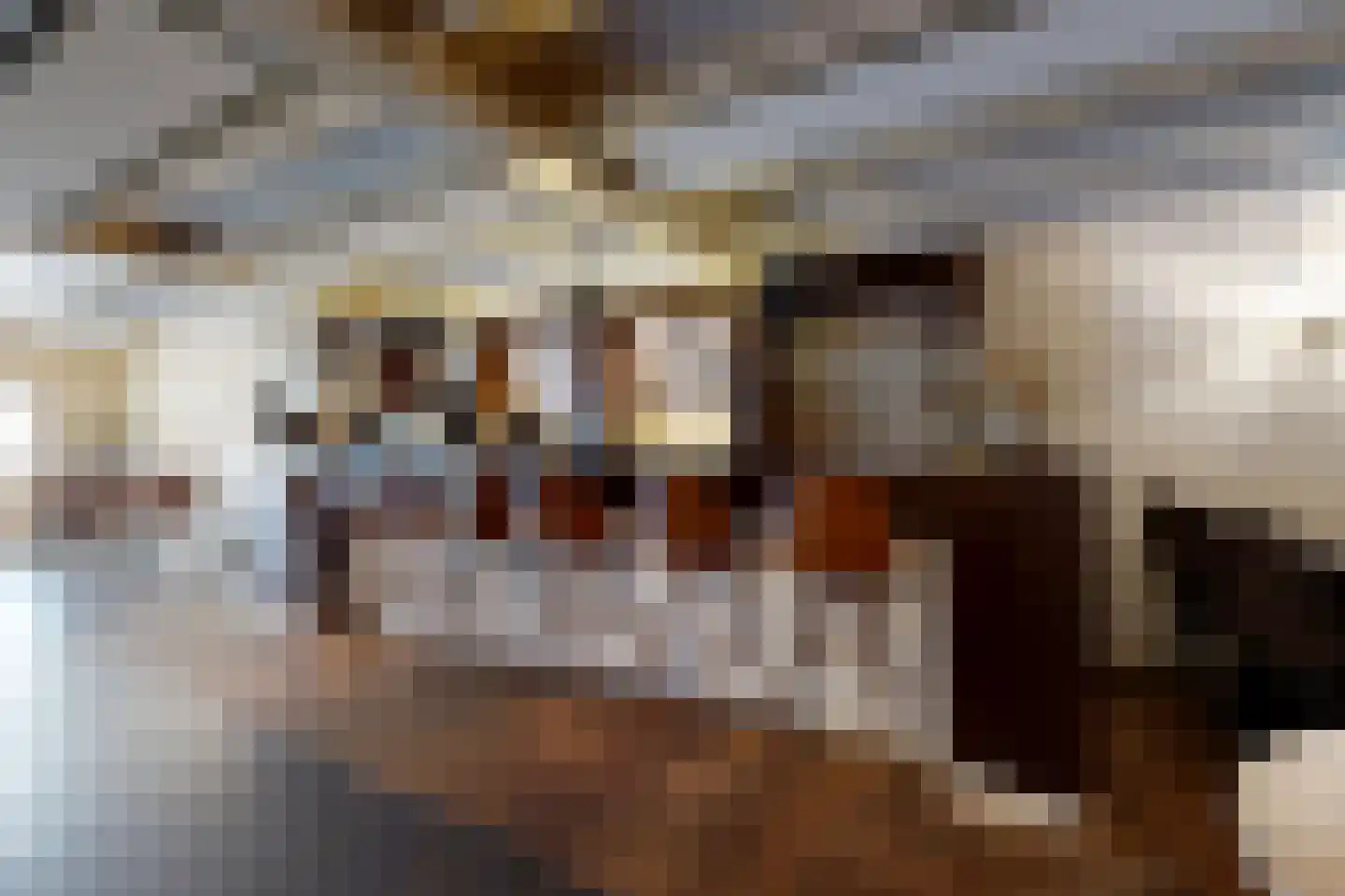 Voorstraat 50 Willemstad thumbnail 19