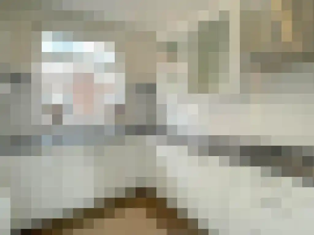 Voorstraat 50 Woerden thumbnail 6