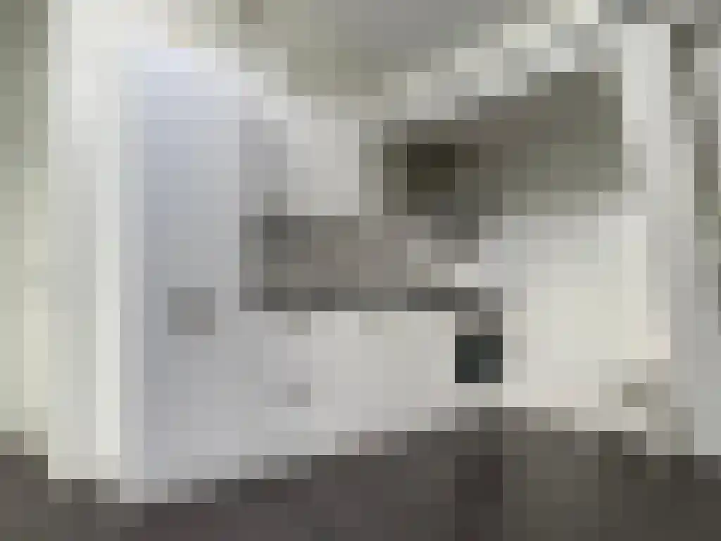 Voorstraat 52 Utrecht thumbnail 4