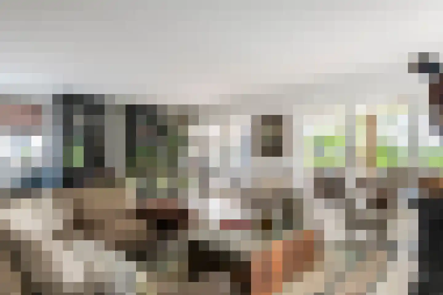 Voorstraat 53 Lienden thumbnail 10