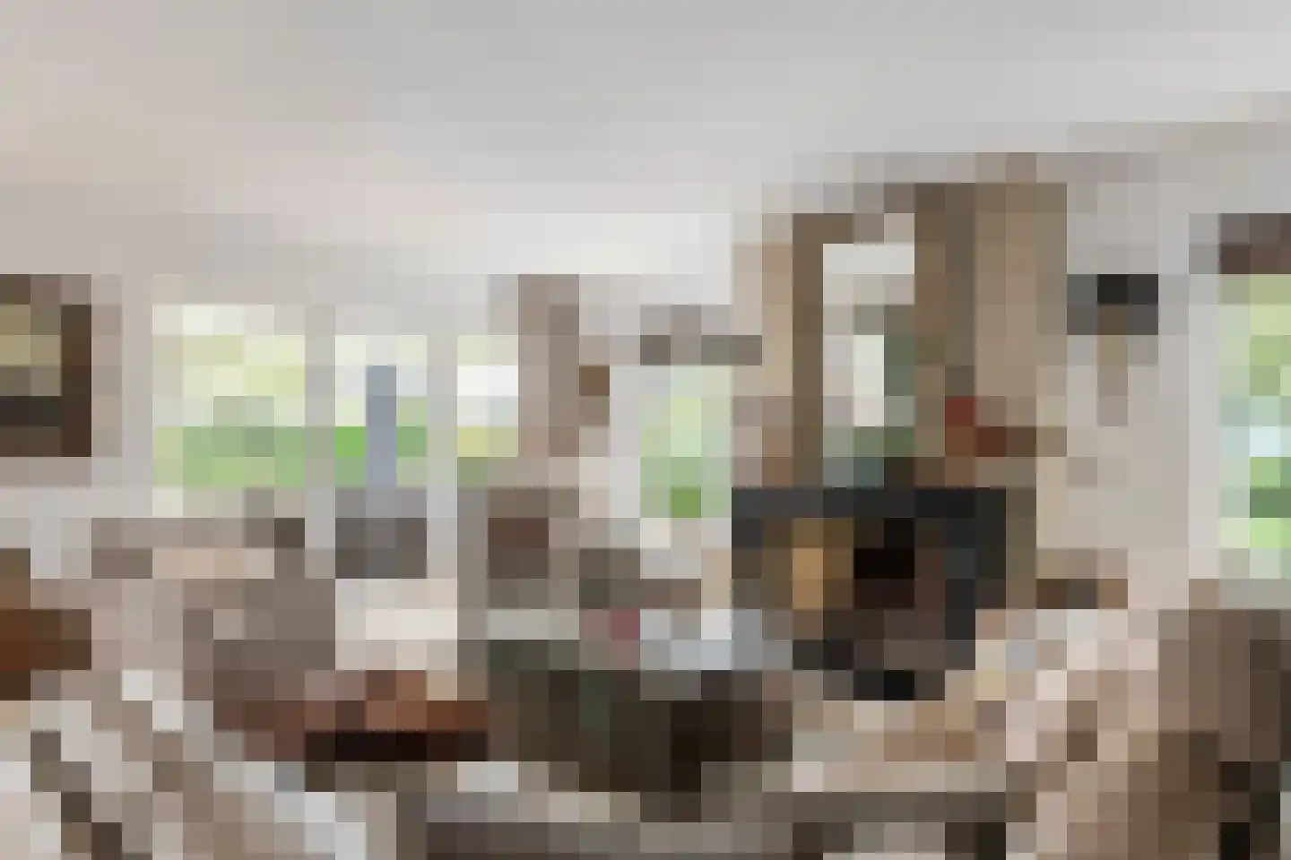 Voorstraat 53 Lienden thumbnail 12