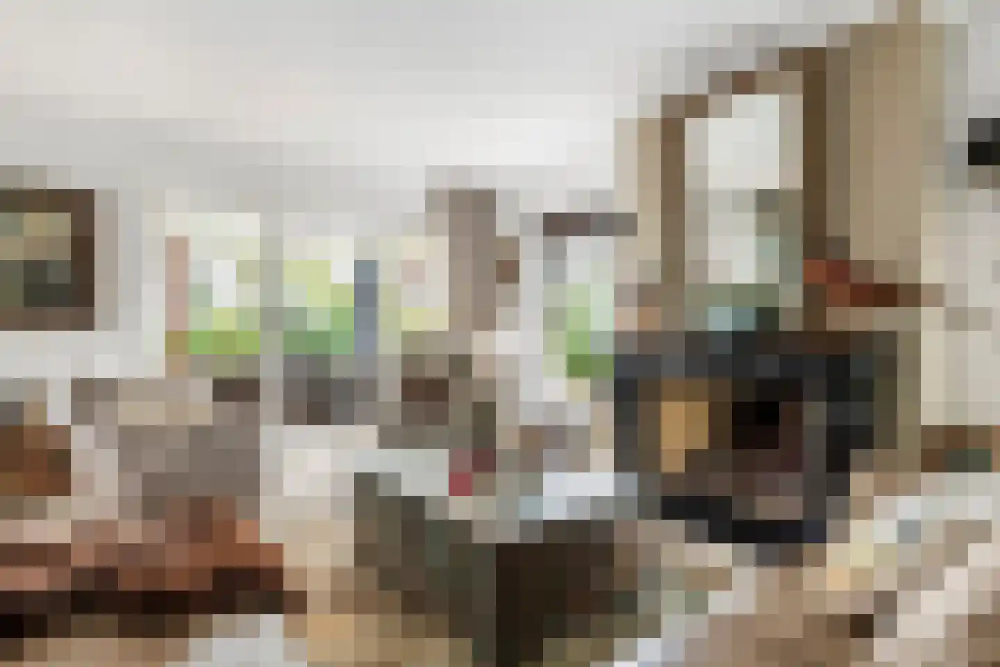Voorstraat 53 Lienden thumbnail 13