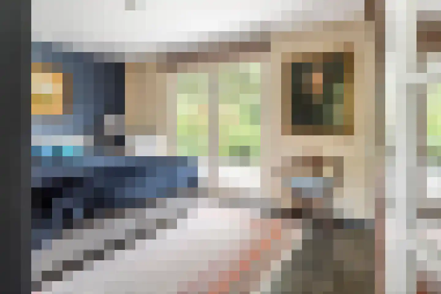 Voorstraat 53 Lienden thumbnail 30