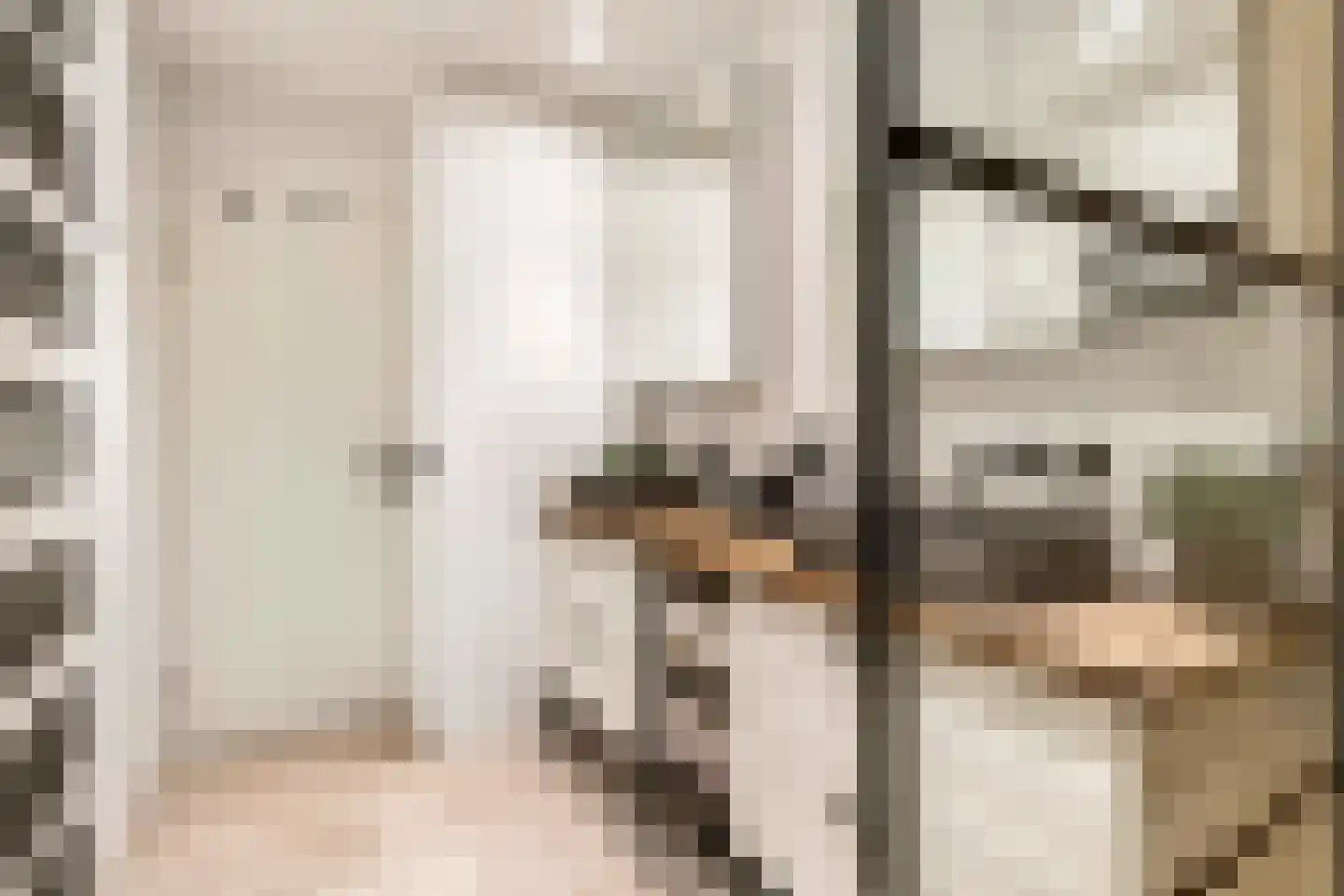 Voorstraat 53 Lienden thumbnail 31