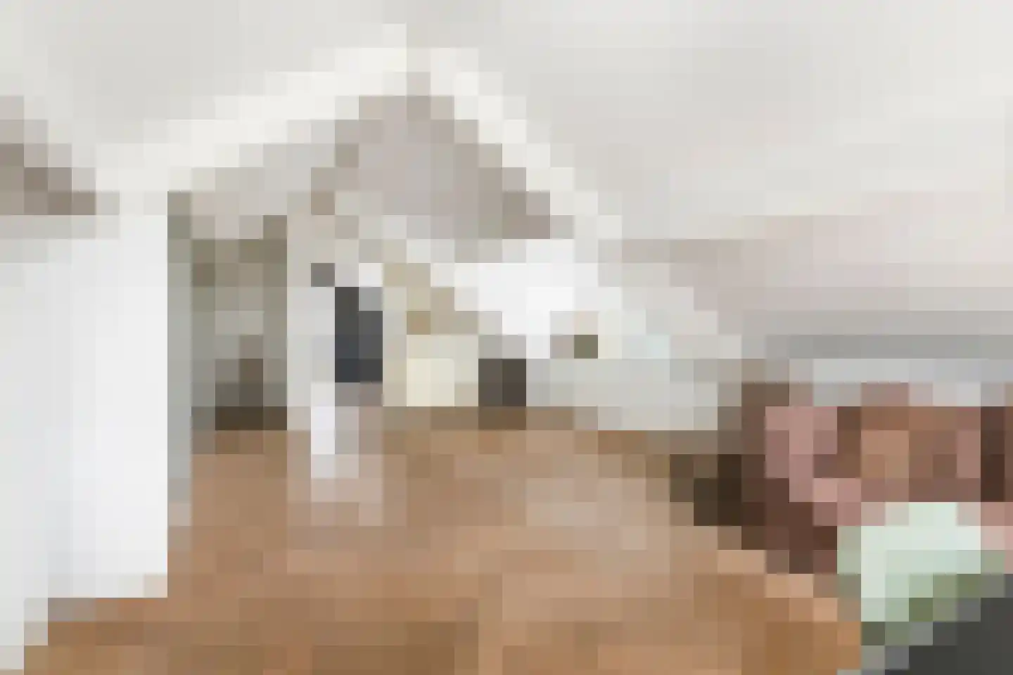 Voorstraat 53 Lienden thumbnail 36