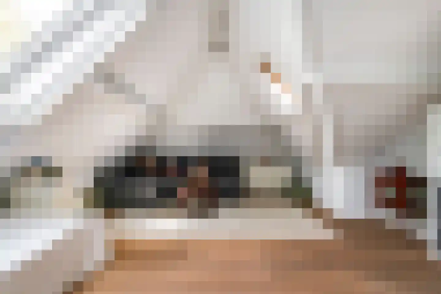 Voorstraat 53 Lienden thumbnail 38