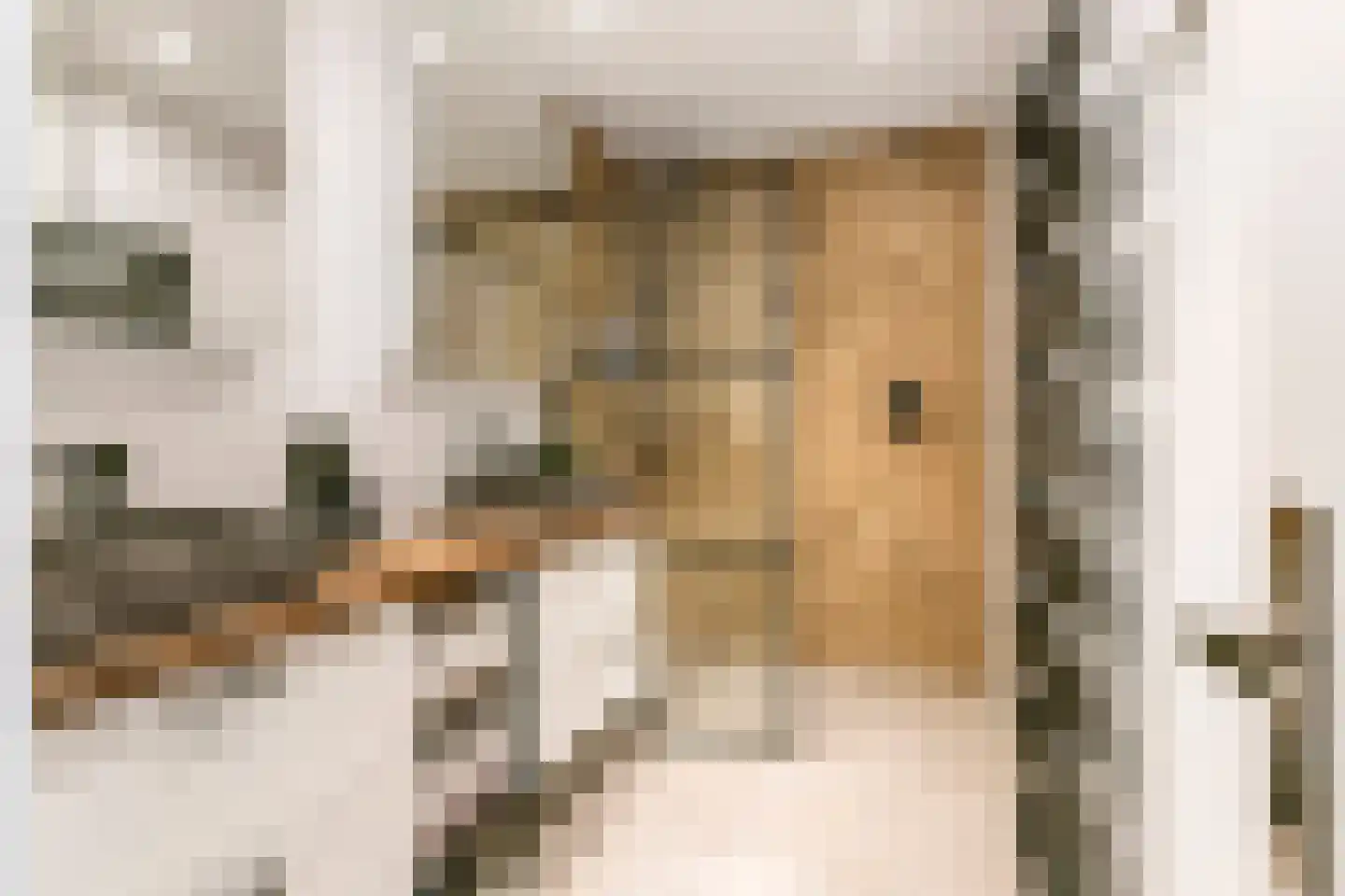 Voorstraat 53 Lienden thumbnail 4