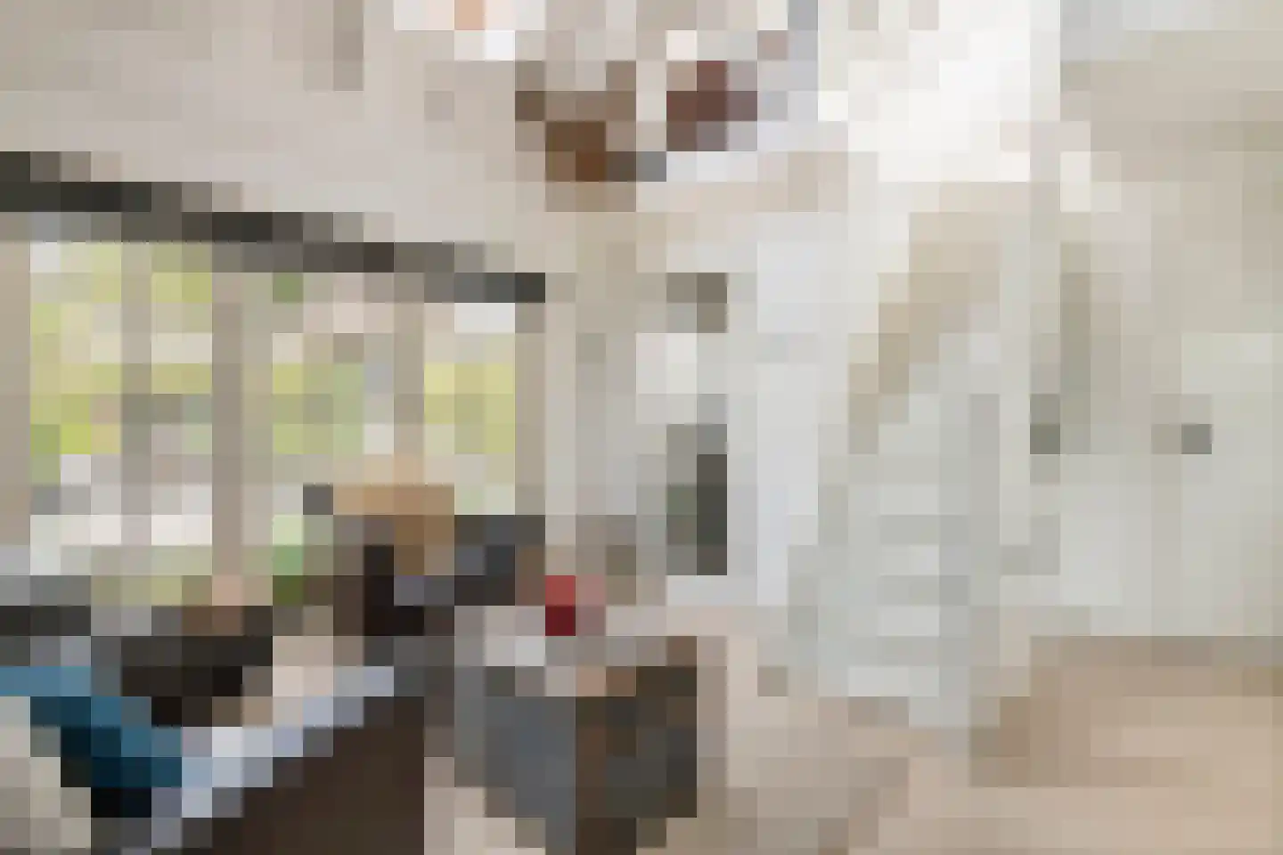 Voorstraat 53 Lienden thumbnail 47