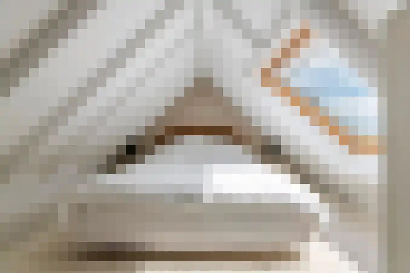 Voorstraat 53 Lienden thumbnail 48