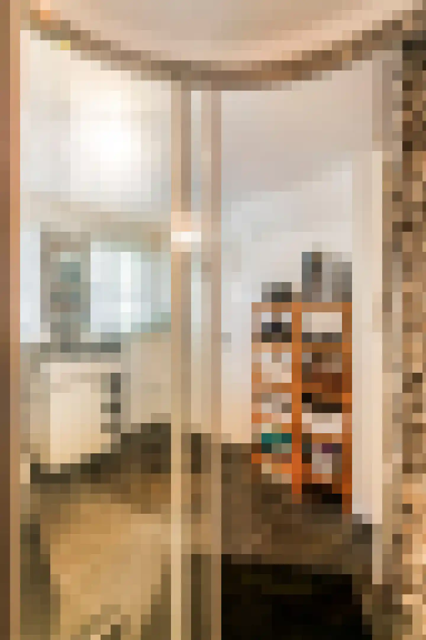 Voorstraat 53 Lienden thumbnail 51