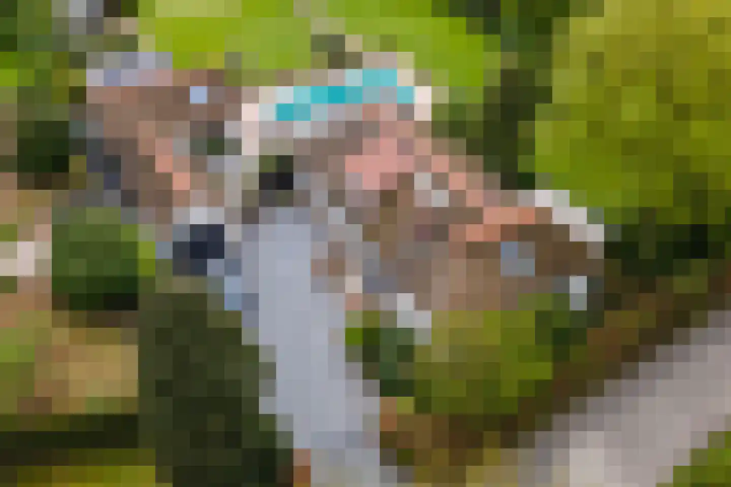 Voorstraat 53 Lienden thumbnail 6