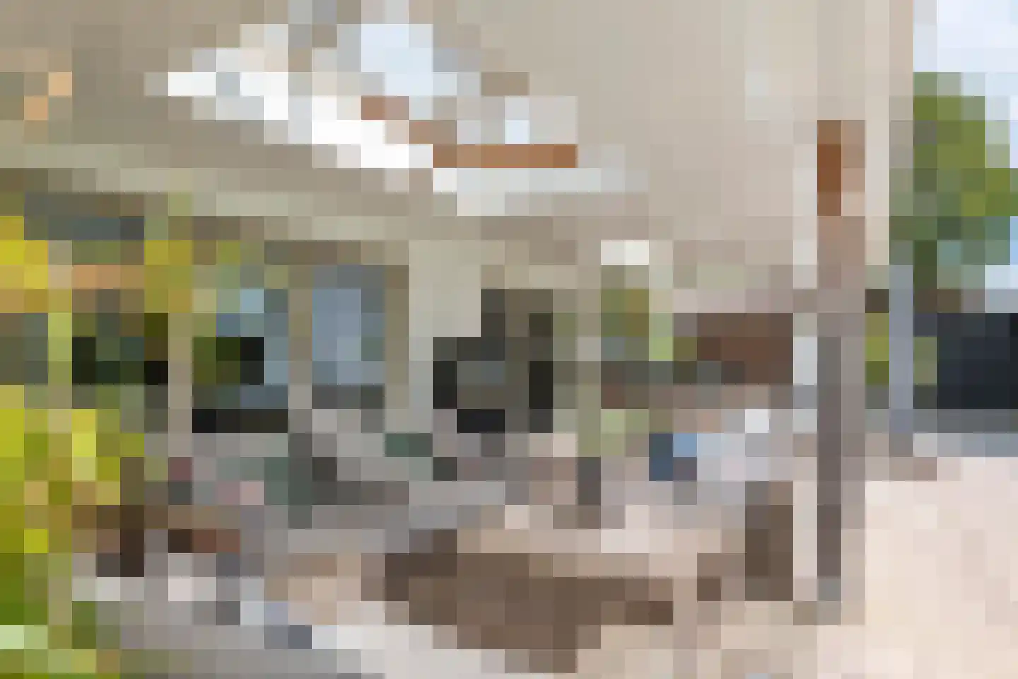 Voorstraat 53 Lienden thumbnail 62