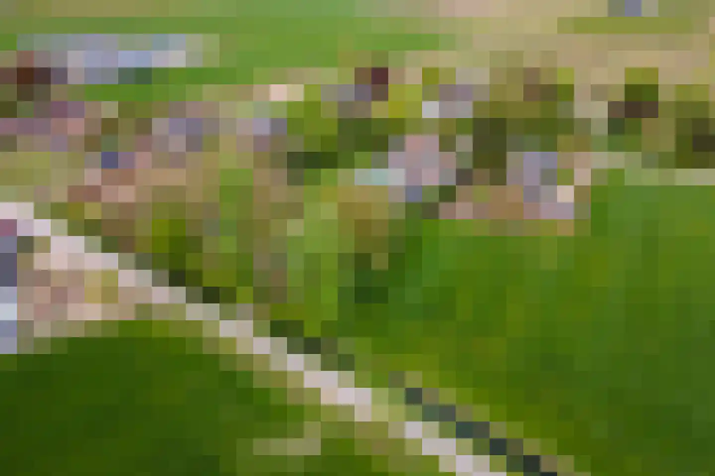 Voorstraat 53 Lienden thumbnail 87