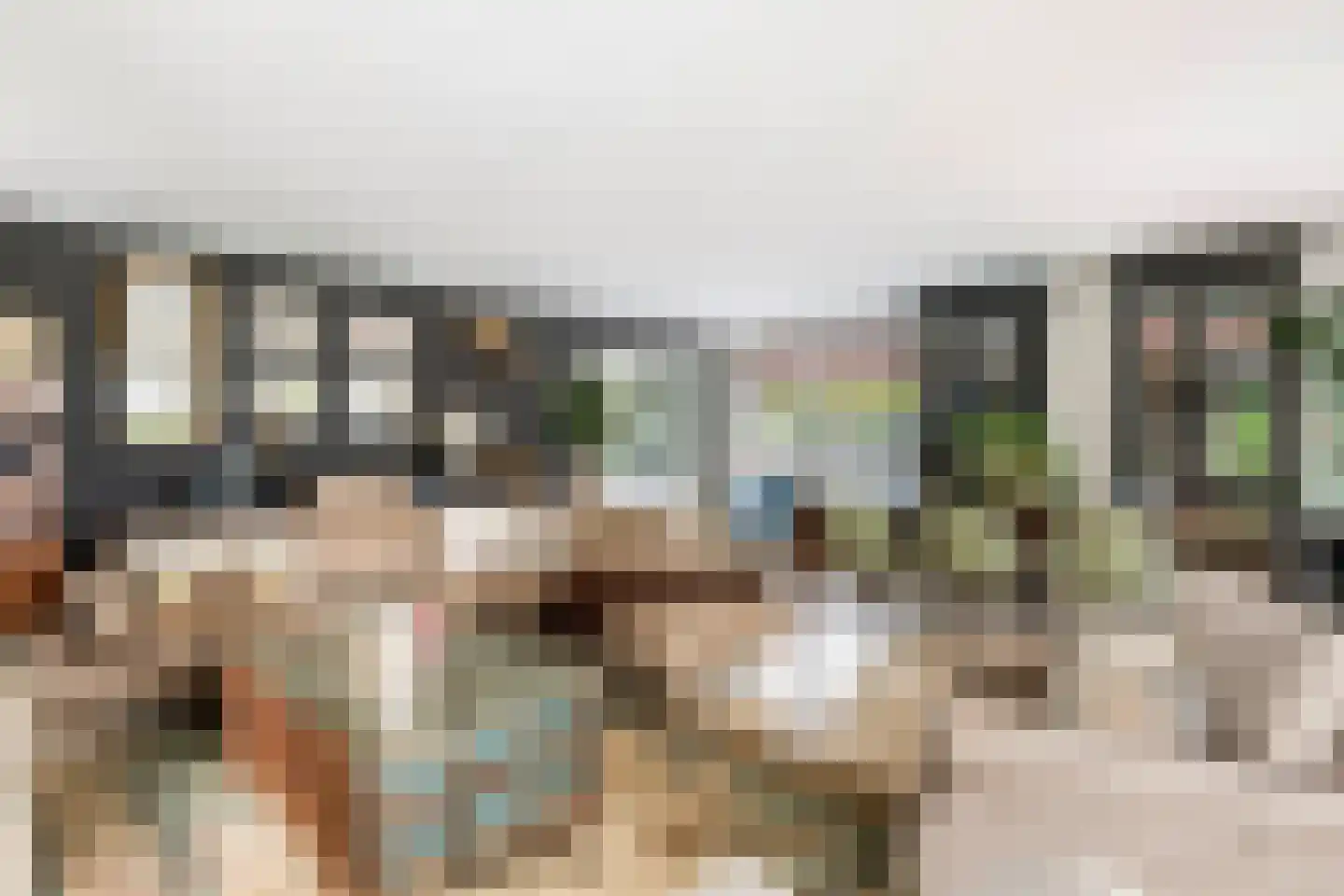 Voorstraat 53 Lienden thumbnail 9