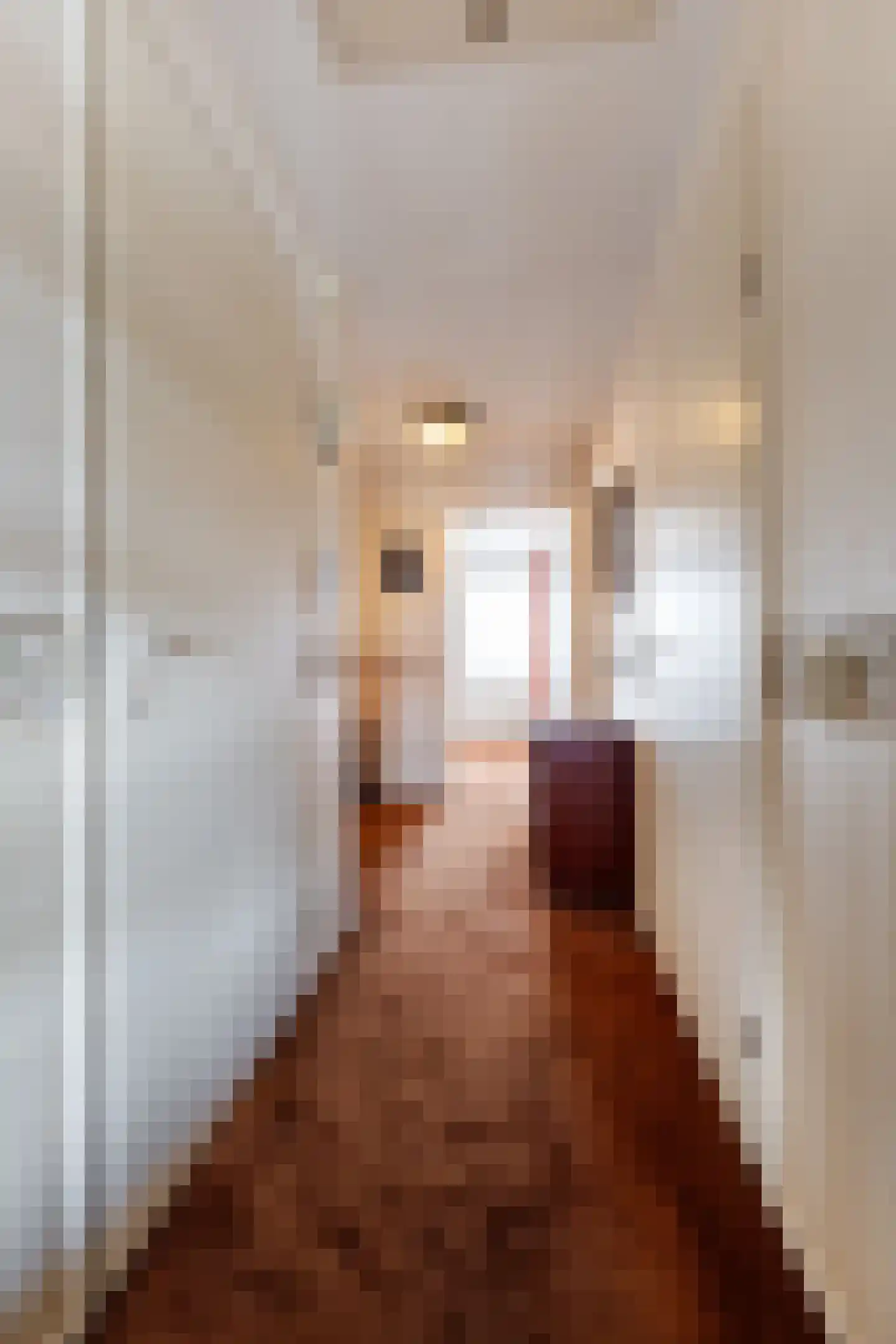 Voorstraat 54 d Groot-Ammers thumbnail 10