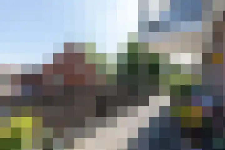 Voorstraat 54 Groot-Ammers thumbnail 22