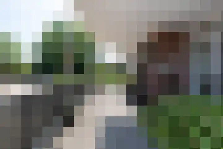 Voorstraat 54 Groot-Ammers thumbnail 4
