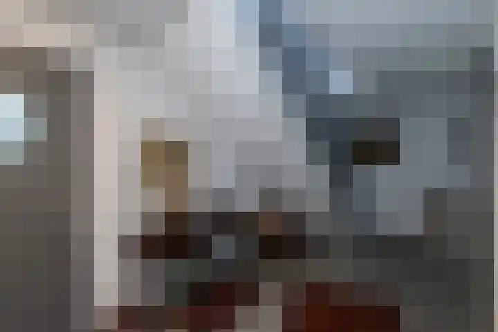 Voorstraat 54 Groot-Ammers thumbnail 6