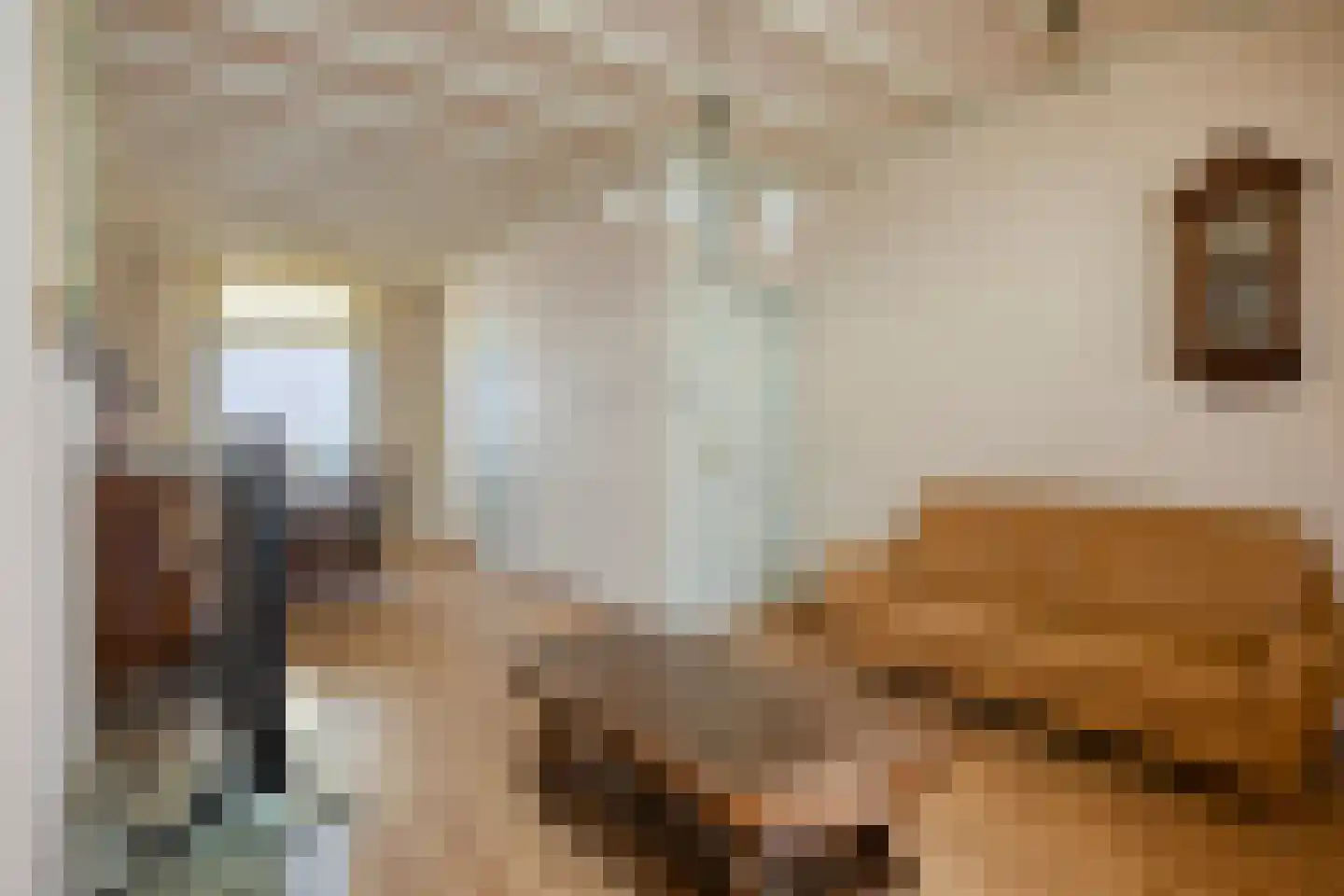 Voorstraat 54 Leiden thumbnail 7
