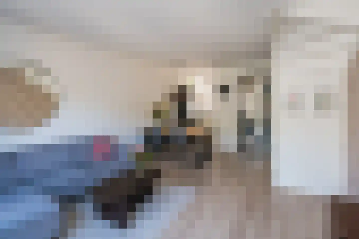 Voorstraat 55 Asperen thumbnail 17