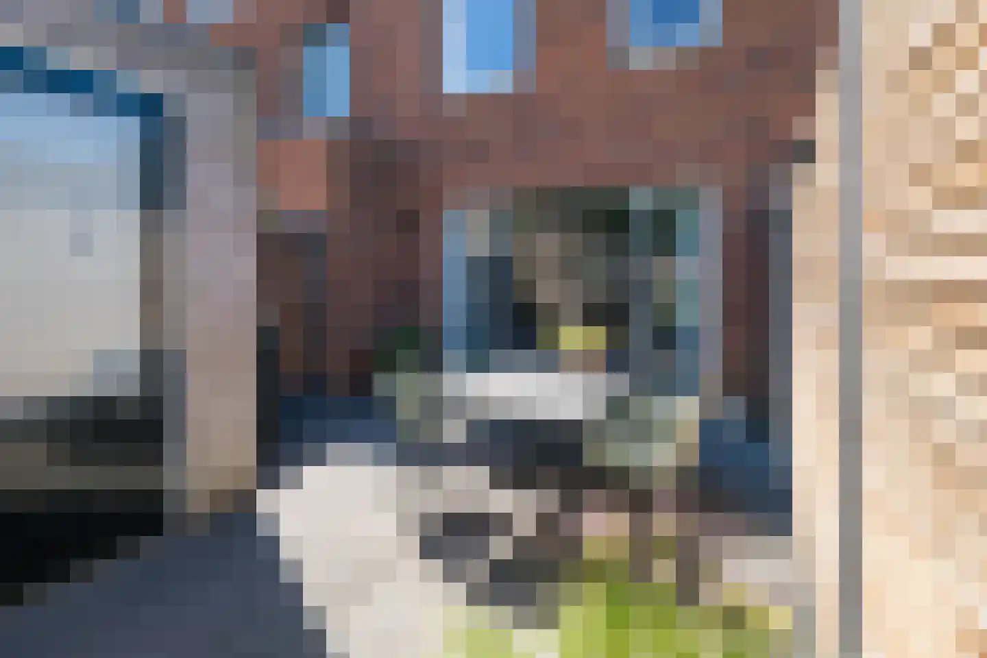 Voorstraat 55 Asperen thumbnail 44