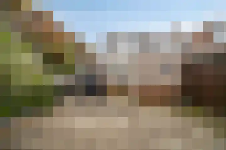 Voorstraat 55 Leiden thumbnail 4