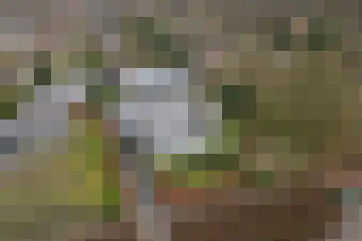 Voorstraat 56 Beesd thumbnail 31