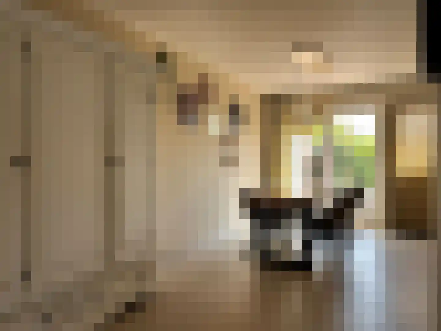 Voorstraat 56 Groede thumbnail 16